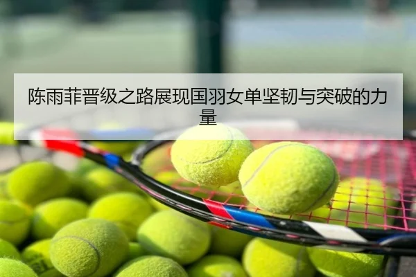 陈雨菲晋级之路展现国羽女单坚韧与突破的力量