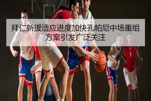 拜仁新援适应进度加快孔帕尼中场重组方案引发广泛关注